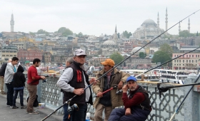 3 мая 2015. Турция, Стамбул.